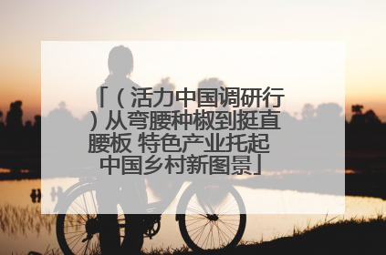 （活力中国调研行）从弯腰种椒到挺直腰板 特色产业托起中国乡村新图景