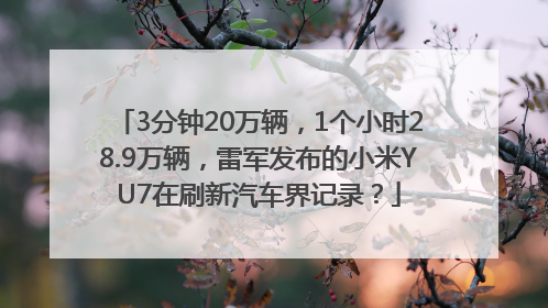 3分钟20万辆，1个小时28.9万辆，雷军发布的小米YU7在刷新汽车界记录？