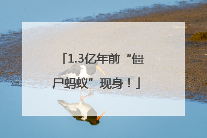 1.3亿年前“僵尸蚂蚁”现身！