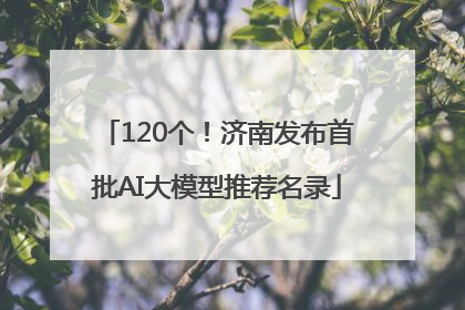 120个！济南发布首批AI大模型推荐名录