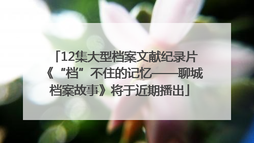 12集大型档案文献纪录片《“档”不住的记忆——聊城档案故事》将于近期播出