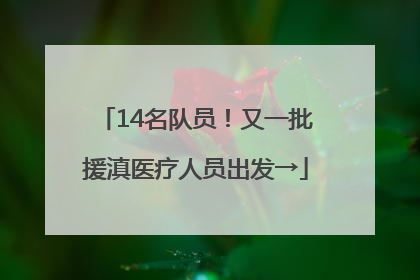 14名队员！又一批援滇医疗人员出发→