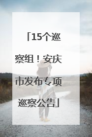 15个巡察组！安庆市发布专项巡察公告