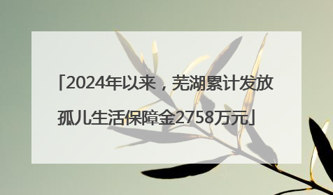 2024年以来，芜湖累计发放孤儿生活保障金2758万元