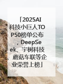 2025AI科技小巨人TOP50榜单公布，DeepSeek、宇树科技、蘑菇车联等企业荣誉上榜