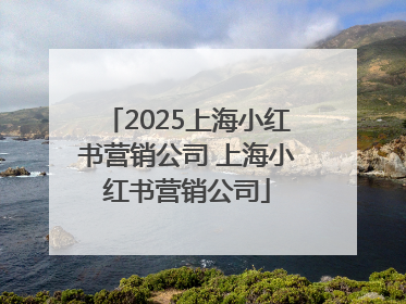 2025上海小红书营销公司 上海小红书营销公司