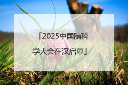 2025中国脑科学大会在汉启幕