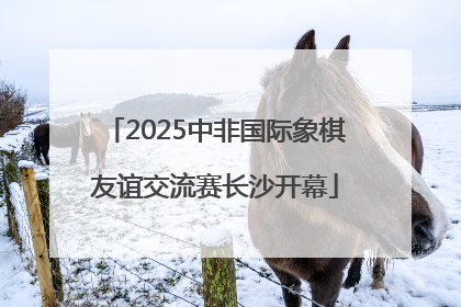 2025中非国际象棋友谊交流赛长沙开幕