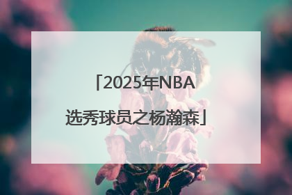 2025年NBA选秀球员之杨瀚森
