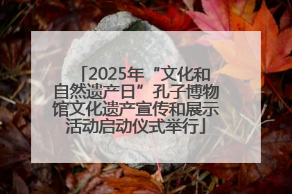 2025年“文化和自然遗产日”孔子博物馆文化遗产宣传和展示活动启动仪式举行