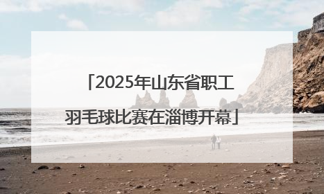 2025年山东省职工羽毛球比赛在淄博开幕