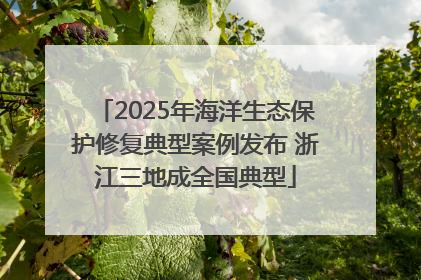 2025年海洋生态保护修复典型案例发布 浙江三地成全国典型