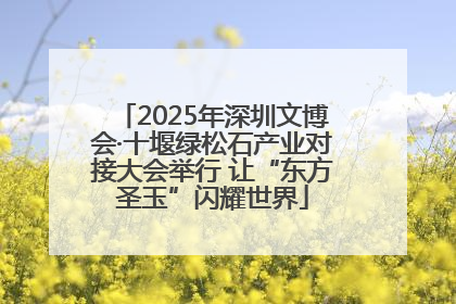 2025年深圳文博会·十堰绿松石产业对接大会举行 让“东方圣玉”闪耀世界
