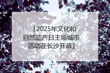 2025年文化和自然遗产日主场城市活动在长沙开幕