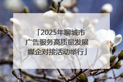 2025年聊城市广告服务高质量发展媒企对接活动举行