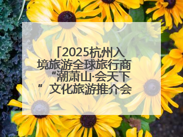 2025杭州入境旅游全球旅行商“潮萧山·会天下”文化旅游推介会成功举办
