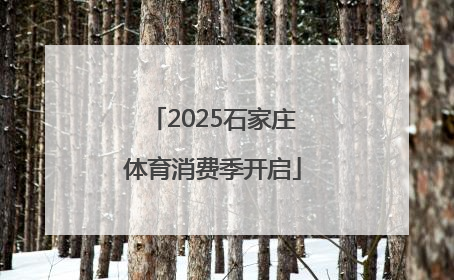 2025石家庄体育消费季开启