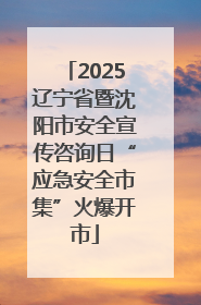 2025辽宁省暨沈阳市安全宣传咨询日“应急安全市集”火爆开市