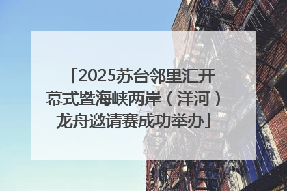 2025苏台邻里汇开幕式暨海峡两岸（洋河）龙舟邀请赛成功举办