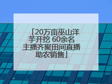 20万亩巫山洋芋开挖 60余名主播齐聚田间直播助农销售