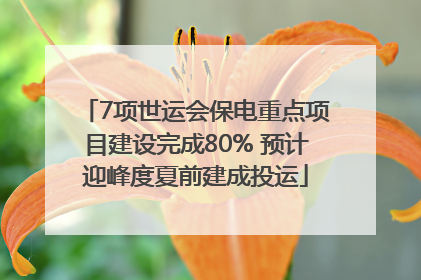 7项世运会保电重点项目建设完成80% 预计迎峰度夏前建成投运