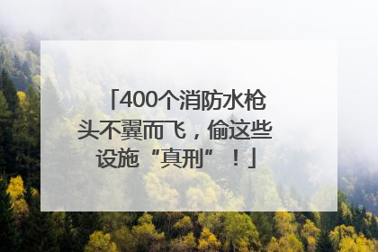 400个消防水枪头不翼而飞，偷这些设施“真刑”！