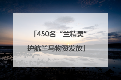 450名“兰精灵”护航兰马物资发放