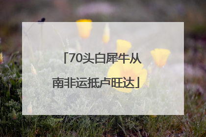 70头白犀牛从南非运抵卢旺达