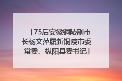 75后安徽铜陵副市长杨文萍履新铜陵市委常委、枞阳县委书记