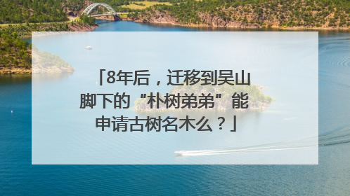 8年后，迁移到吴山脚下的“朴树弟弟”能申请古树名木么？