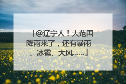 @辽宁人！大范围降雨来了，还有暴雨、冰雹、大风……