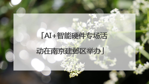 AI+智能硬件专场活动在南京建邺区举办