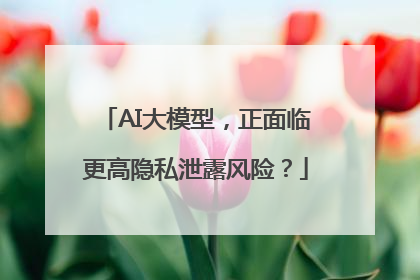 AI大模型，正面临更高隐私泄露风险？