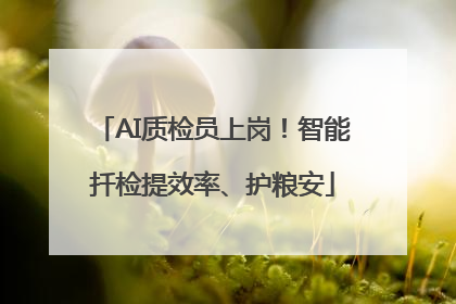 AI质检员上岗！智能扦检提效率、护粮安