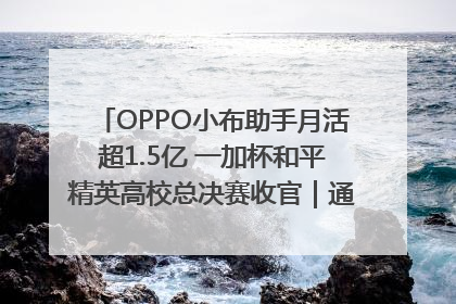 OPPO小布助手月活超1.5亿 一加杯和平精英高校总决赛收官｜通讯Plus·早报