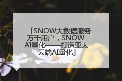 SNOW大数据服务万千用户，SNOW AI量化——打造亚太云端AI量化