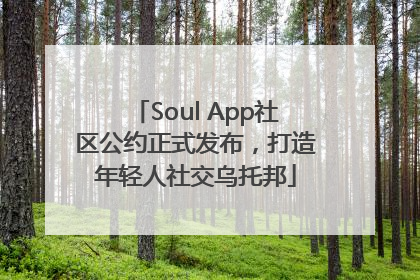 Soul App社区公约正式发布，打造年轻人社交乌托邦