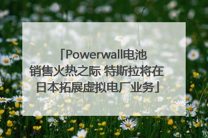 Powerwall电池销售火热之际 特斯拉将在日本拓展虚拟电厂业务
